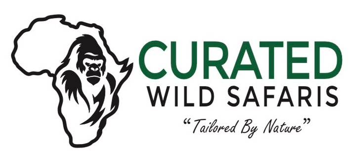 Curated Wild Safaris